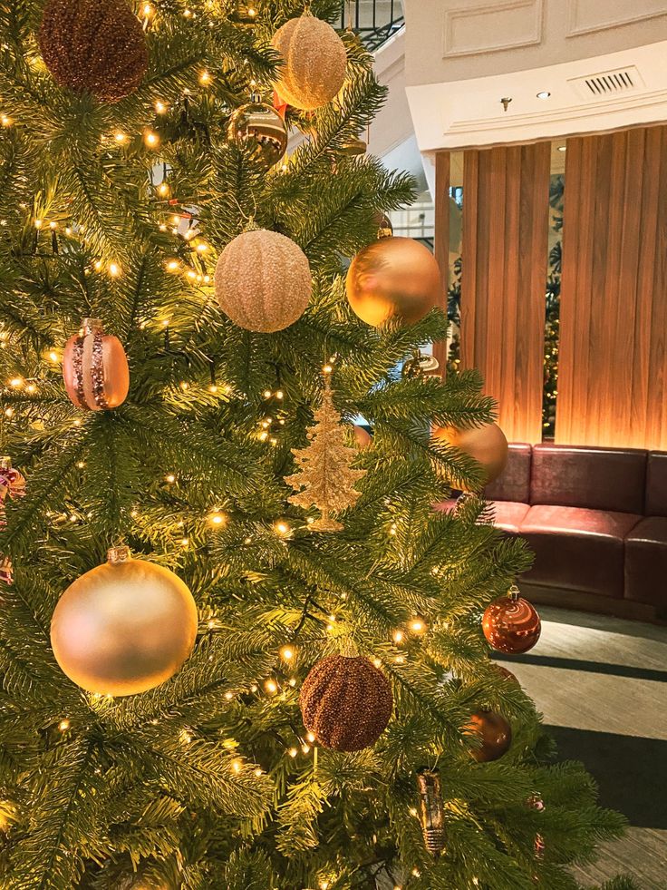 Décoration Noël - Davidson - Agence MPV
