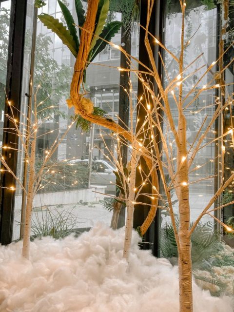 Décoration Noël - Davidson - Agence MPV